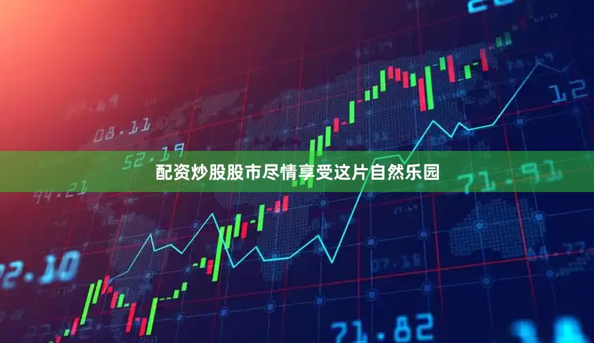 配资炒股股市尽情享受这片自然乐园