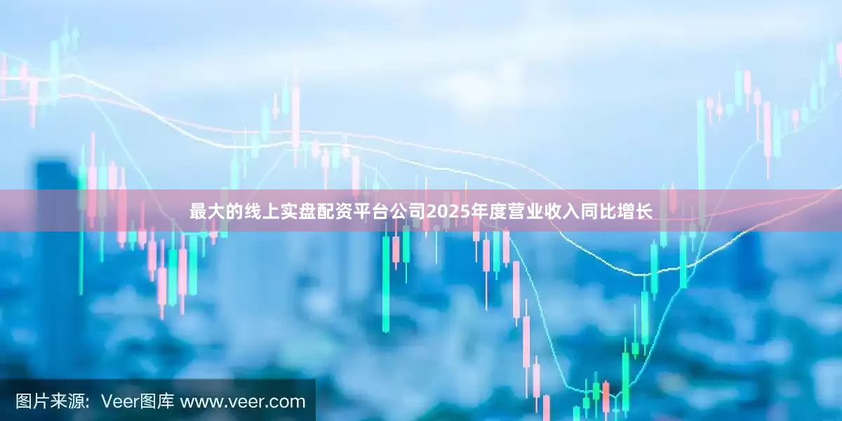 最大的线上实盘配资平台公司2025年度营业收入同比增长