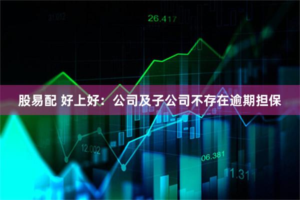 股易配 好上好：公司及子公司不存在逾期担保