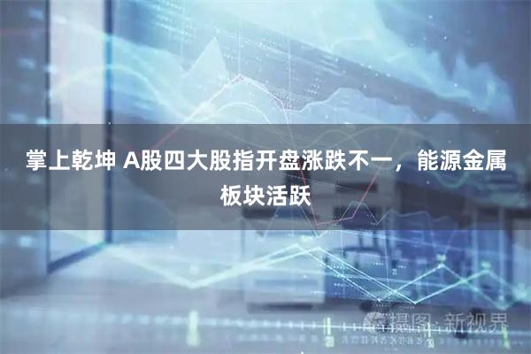掌上乾坤 A股四大股指开盘涨跌不一，能源金属板块活跃