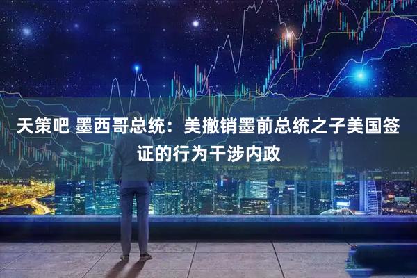 天策吧 墨西哥总统：美撤销墨前总统之子美国签证的行为干涉内政