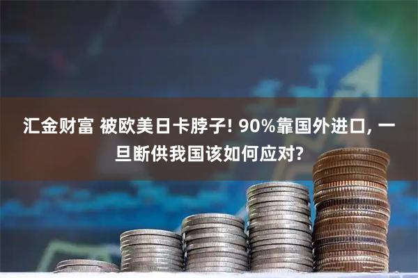 汇金财富 被欧美日卡脖子! 90%靠国外进口, 一旦断供我国该如何应对?